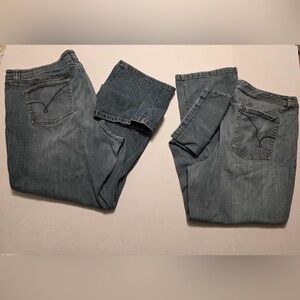 Lot of 2 Lane Bryant Denim Jeans Dark Blue Wash Straight Leg size 26 Average